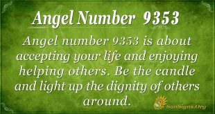 angel number 9353