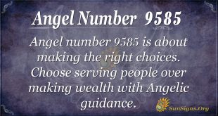 Angel number 9585