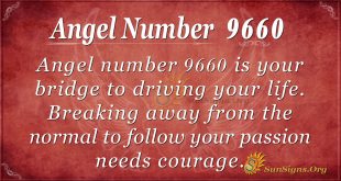 Angel number 9660