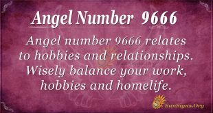angel number 9666