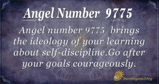angel number 9775