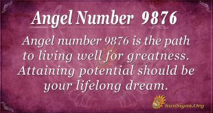 Angel number 9876