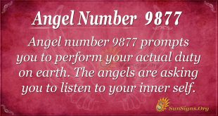 Angel number 9877