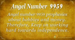 angel number 9959
