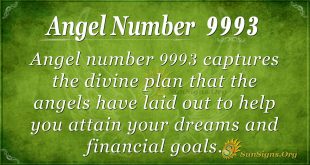 angel number 9993