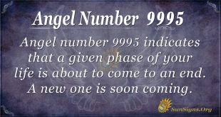 Angel number 9995