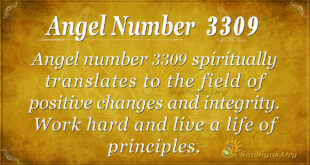 3309 angel number