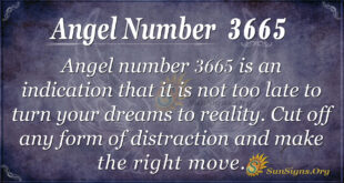 Angel Number 3665