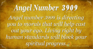 Angel number 3909