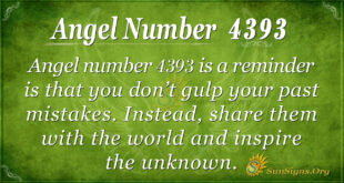 Angel number 4393