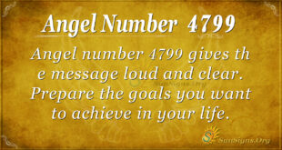 Angel number 4799