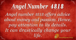 Angel Number 4818