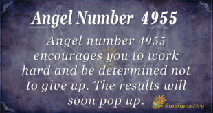 4955 angel number