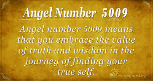 Angel number 5009