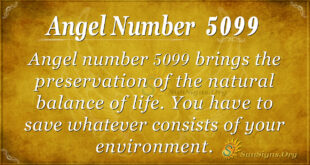 Angel number 5099