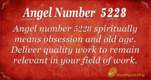 5228 angel number