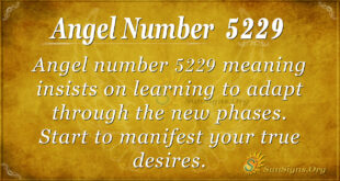 Angel number 5229