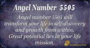 Angel number 5505