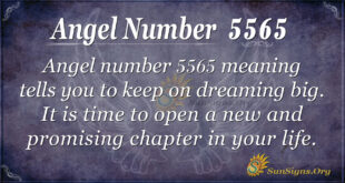 Angel number 5565