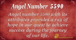 Angel number 5590