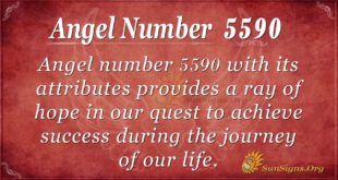 Angel number 5590