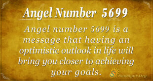 Angel number 5699