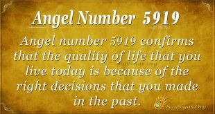 Angel number 5919
