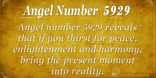 Angel number 5929