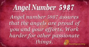 Angel number 5987