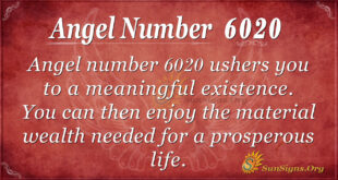 6020 angel number