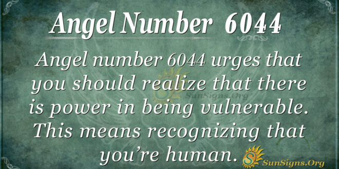 6044 angel number