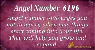 Angel number 6196