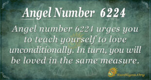 Angel number 6224