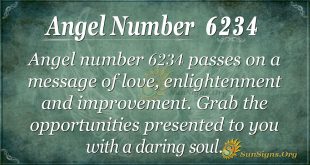 Angel number 6234