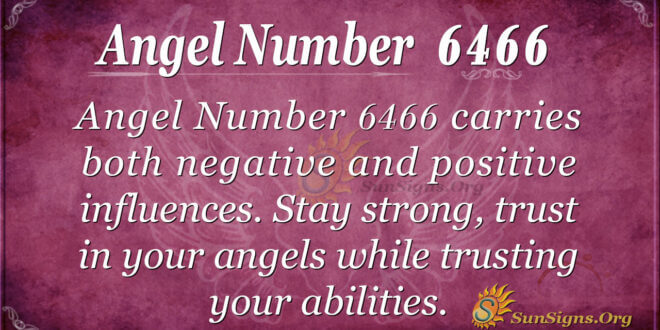 6466 angel number
