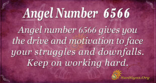 Angel number 6566