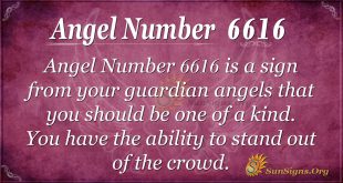 Angel number 6616