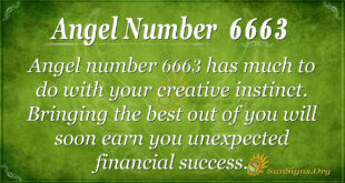 6663 angel number