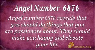 Angel number 6876