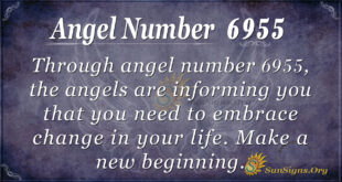 Angel number 6955