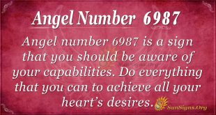 Angel number 6987