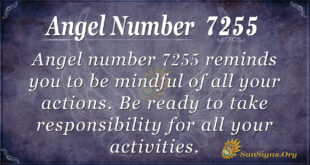 Angel number 7255