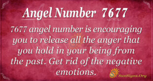 Angel number 7677