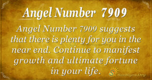 Angel number 7909