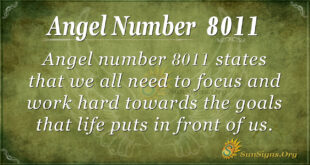 Angel number 8011