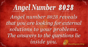 8028 angel number