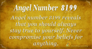 Angel number 8199