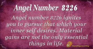 8226 angel number