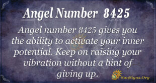 8425 angel number