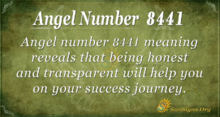 8441 angel number